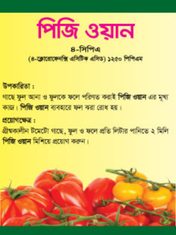 পিজি ওয়ান