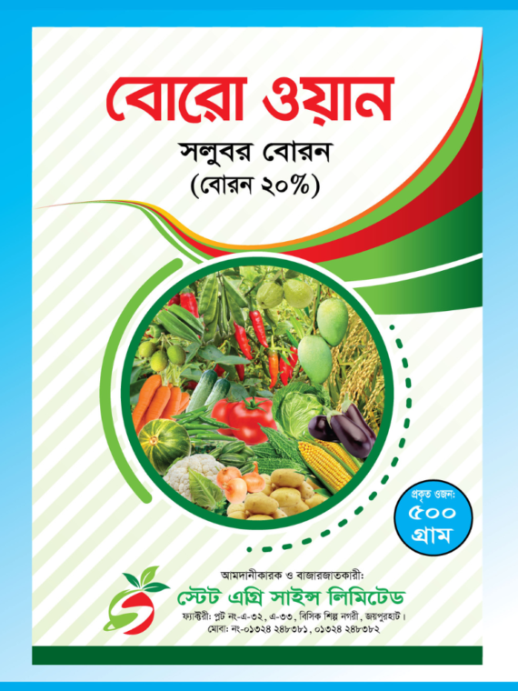 বোরো ওয়ান