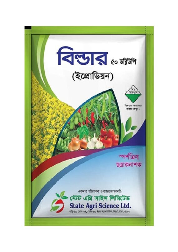 বিল্ডার