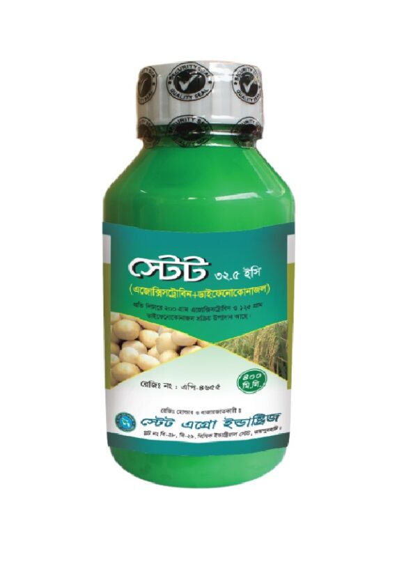 স্টেট